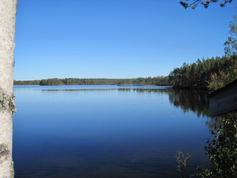 Lake Öjsjön in my home county, Dalecarlia, Sweden